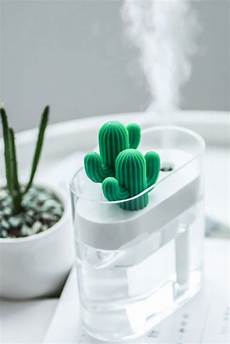 Cactus Humidifier