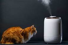 Humidifier For Allergies
