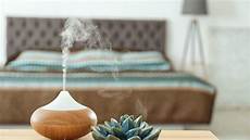 Top Rated Humidifiers