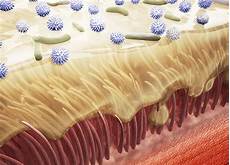 Adiabatic Humidification