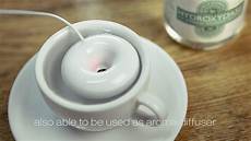 Donut Humidifier