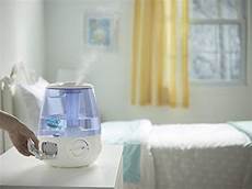 Humidifier Cleaning Fish