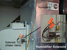 Humidifier Fish