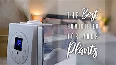 Levoit Humidifier